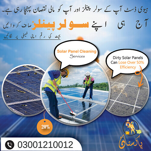 solar Panel Cleaning Services
