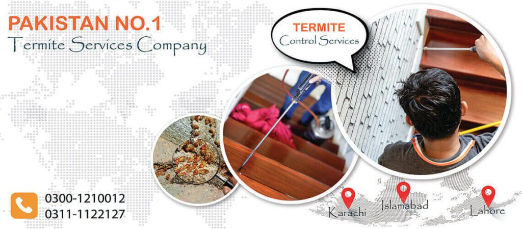 Termite-Control-Services